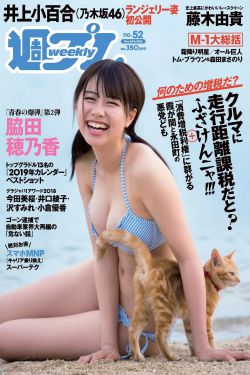 吸血鬼猎人林肯